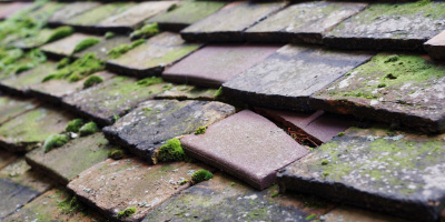 Bransford roof repair costs